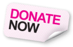 donate-now-button