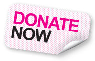 donate-now-button